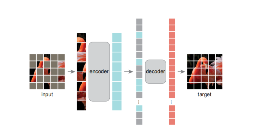 论文理解【Vision Transformer】—— 【MAE】Masked Autoencoders Are Scalable Vision Learners